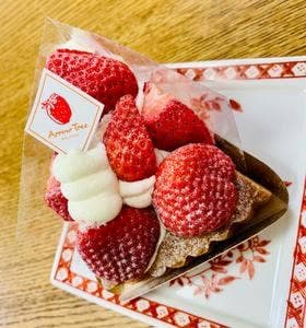 ARROW TREE 阪神梅田店