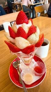 カフェ アンジェ・フレーゼ