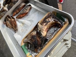 魚田魚司
