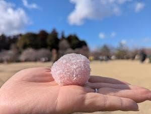 亀じるし 本店