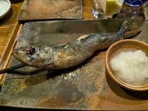 居酒屋 ちょーちょ