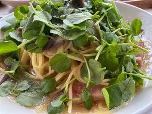 らくだのパスタ