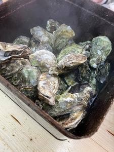 かきいち 大吉店