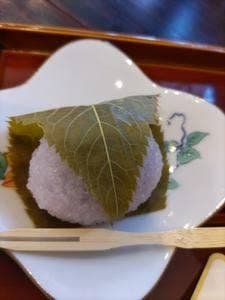 花芽