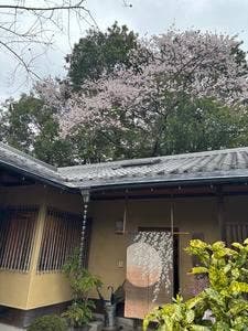 ゆばカフェ 紫水庵