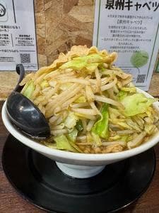富田林わっしょい