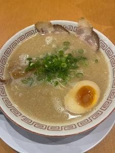 群馬とんこつらーめん だるま大使