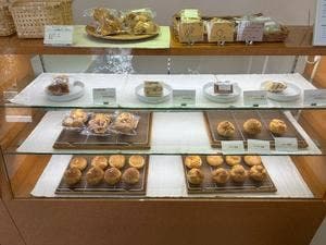 choux lab