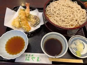 蕎麦膳はやま