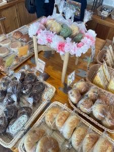 Bakery Palm