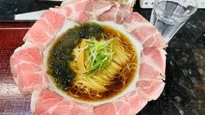 DISH DREAM 天天