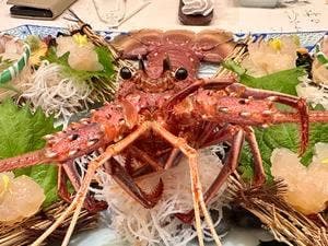 中納言 大阪駅前第3ビル店