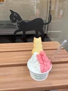 のぞみジェラート
