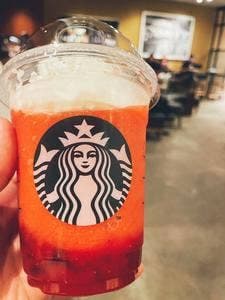 スターバックス コーヒー マロニエゲート銀座1店