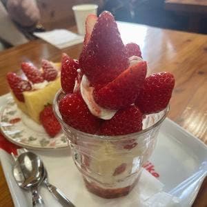 ストロベリーフィールド