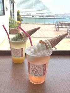 MioSeaCafe