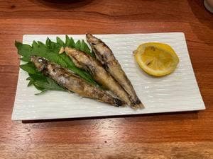 たぬき食堂