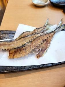 釣り師 鯵仙人
