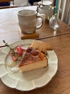 CAFE シトカ