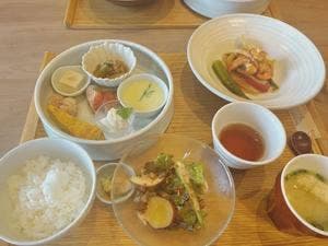 坂の下の店 ぶどうのたね
