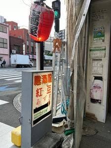 紅豆