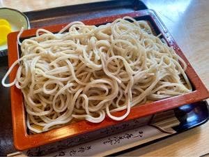 柏屋