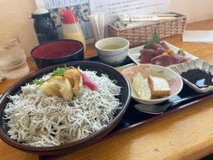 安芸しらす食堂