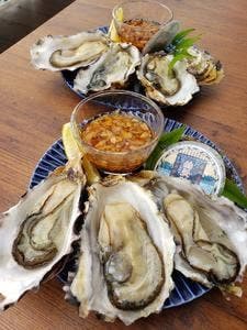 的矢かきテラス