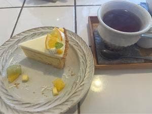 cafe+cake Coucou