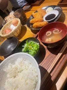 炭火焼鳥 わだち