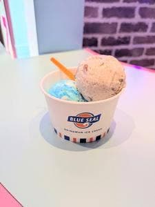 ブルーシール イオンレイクタウンkaze店