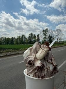 ウエモンズハート