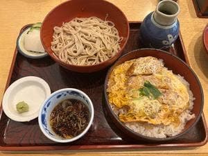 細島屋 花水木