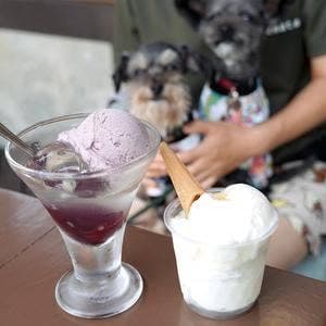 ミニ尾瀬公園 インフォメーションセンターカフェ