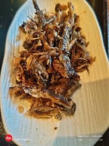 讃岐うどん よすが