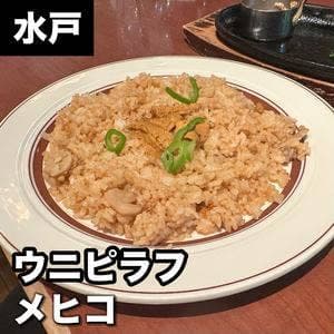 メヒコ 水戸フラミンゴ館