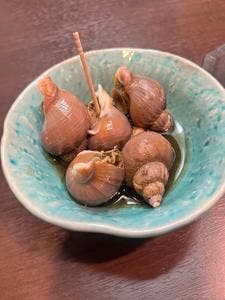 成吉思汗 さかもと