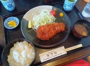 ヘルシーポーク みつい