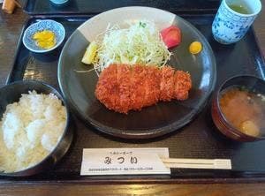 ヘルシーポーク みつい