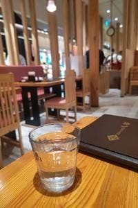 ごまそば八雲 札幌ステラプレイス店