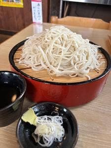 手打そば 更科食堂