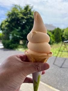 はなまる市場 道の駅 ローズマリー公園