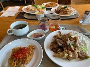 セリーナ ホテル日航成田