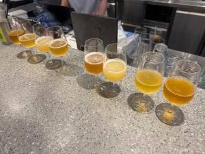 dam pub