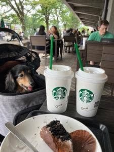 スターバックス コーヒー 京都岡崎蔦屋書店