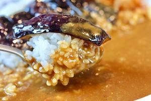 カレーハウスCoCo壱番屋 豊田浄水店