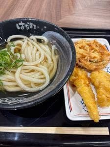 はなまるうどん TXアベニュー守谷店