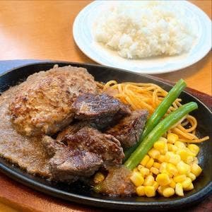 ステーキ宮 千葉ニュータウン店