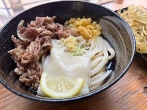 うどん専門 めだか