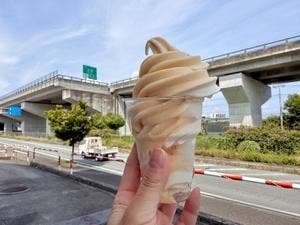 JA南アルプス市 道の駅しらね 農産物直売所